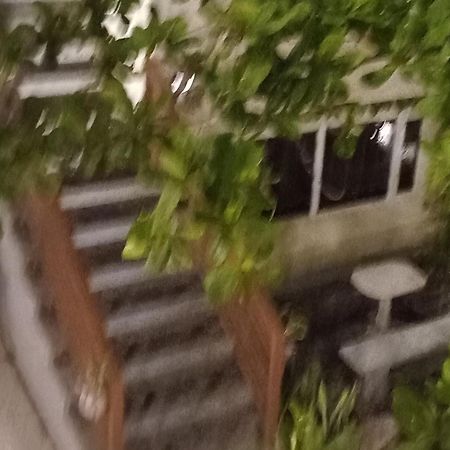 Beachfront Bed & Breakfast San Jose  外观 照片